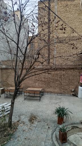 عکس هاستل بلوط