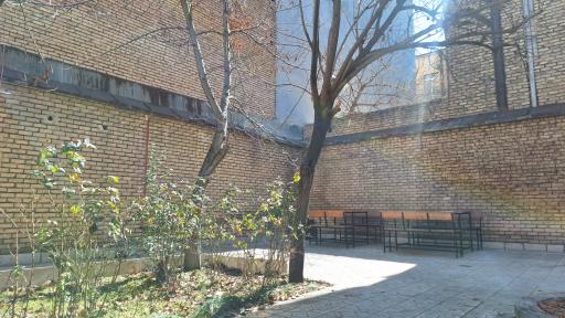 عکس هاستل بلوط