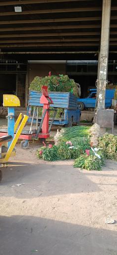 عکس سبزی فروشی نصراللهی