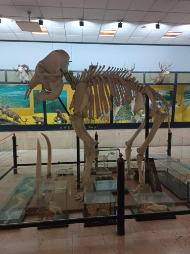 عکس موزه حیات وحش پردیسان