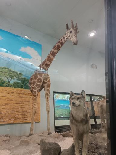 عکس موزه حیات وحش پردیسان