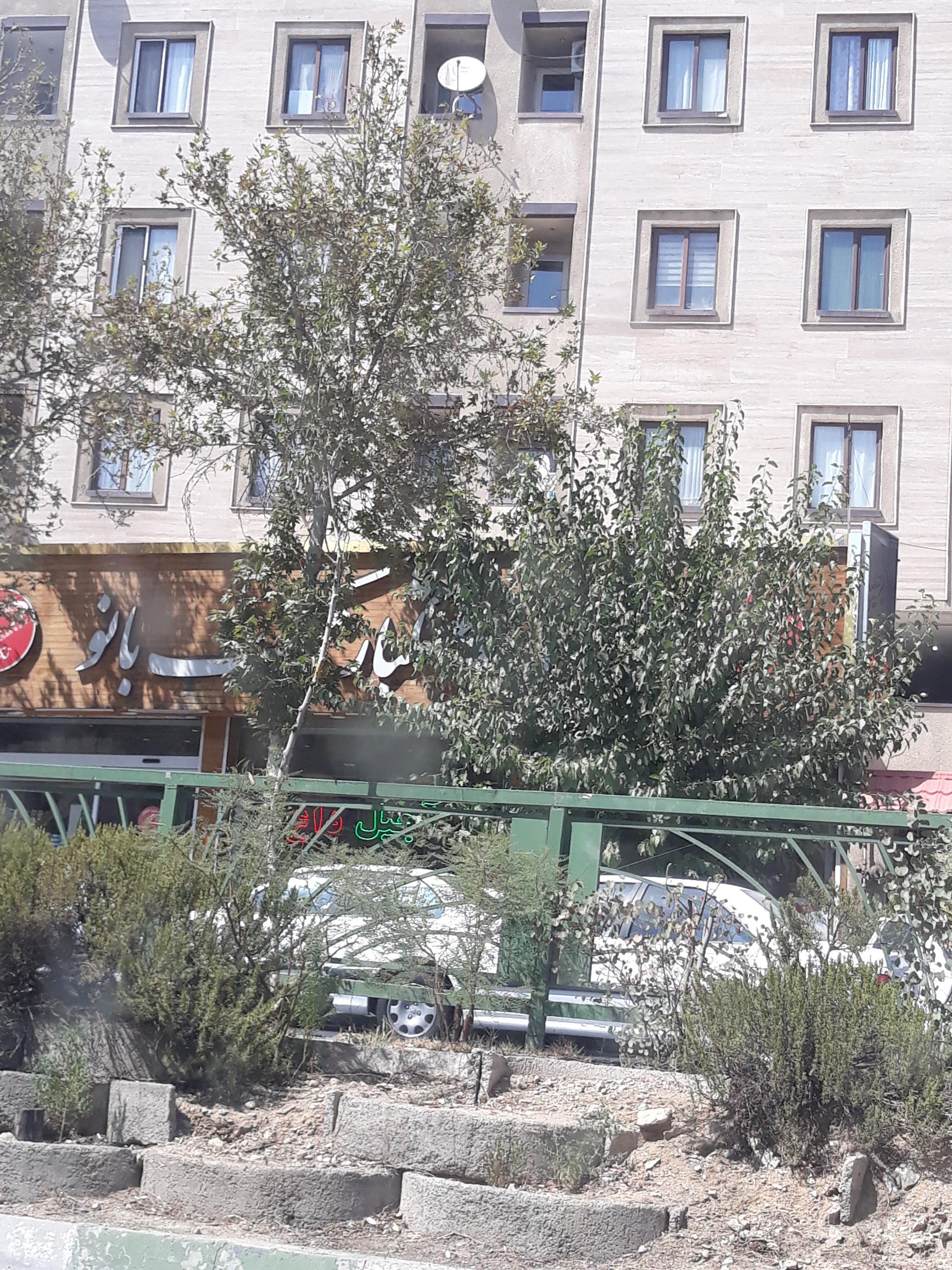 عکس آجیل و خشکبار تک بانو