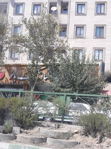 عکس آجیل و خشکبار تک بانو