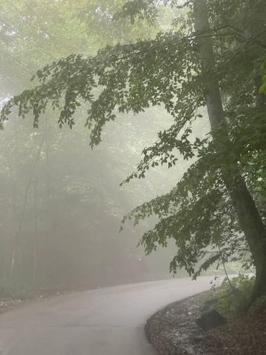 عکس ییلاق درازنو گلستان کردکوی