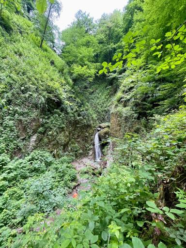 عکس ییلاق درازنو گلستان کردکوی