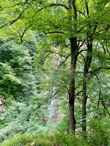 عکس ییلاق درازنو گلستان کردکوی