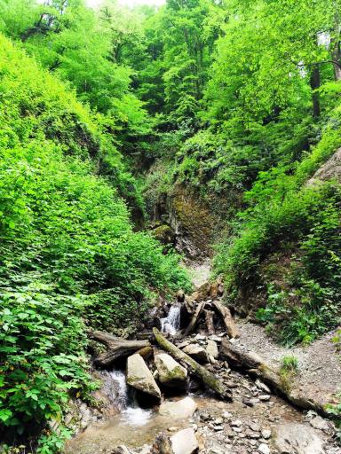 عکس ییلاق درازنو گلستان کردکوی