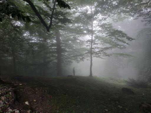 عکس ییلاق درازنو گلستان کردکوی