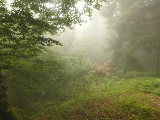 عکس ییلاق درازنو گلستان کردکوی