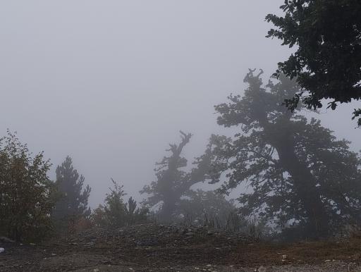 عکس ییلاق درازنو گلستان کردکوی