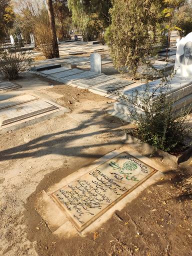 عکس مزار موسی (محمود) ممیزی