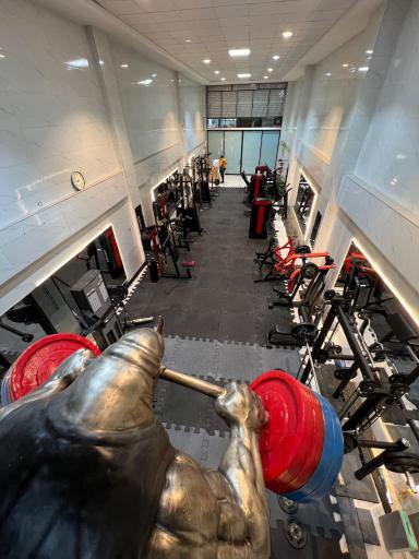 عکس باشگاه کیهان