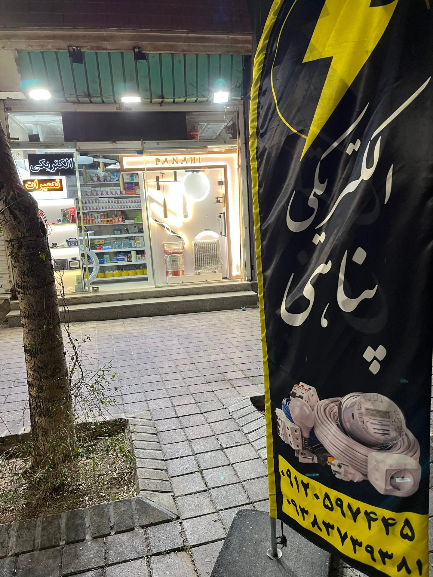 عکس الکتریکی پناهی