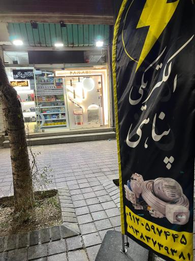 عکس الکتریکی پناهی