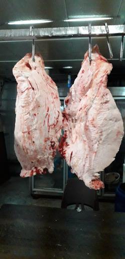 عکس گوشت شتر تهران(فیروزآبادی)