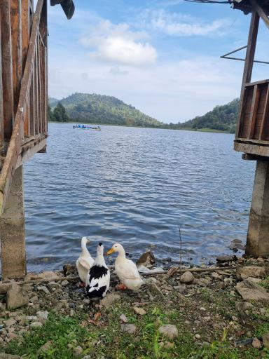 عکس دریاچه سد سراگاه