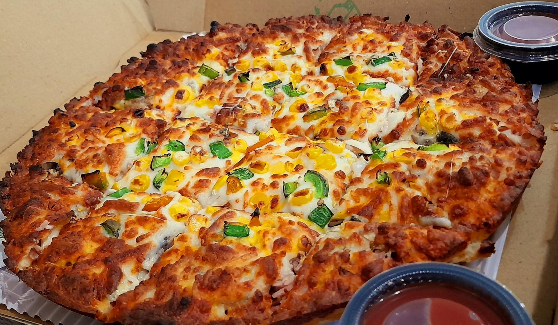 عکس پیتزا صبا