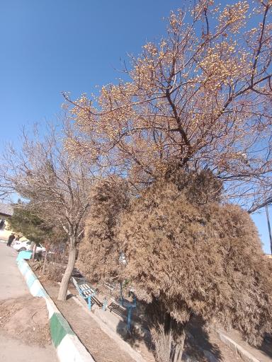 عکس هنرستان امام خمینی (ره)