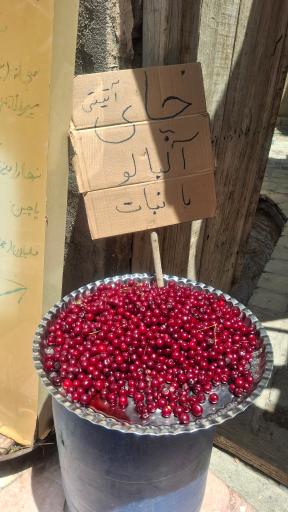 عکس حصار سرخ