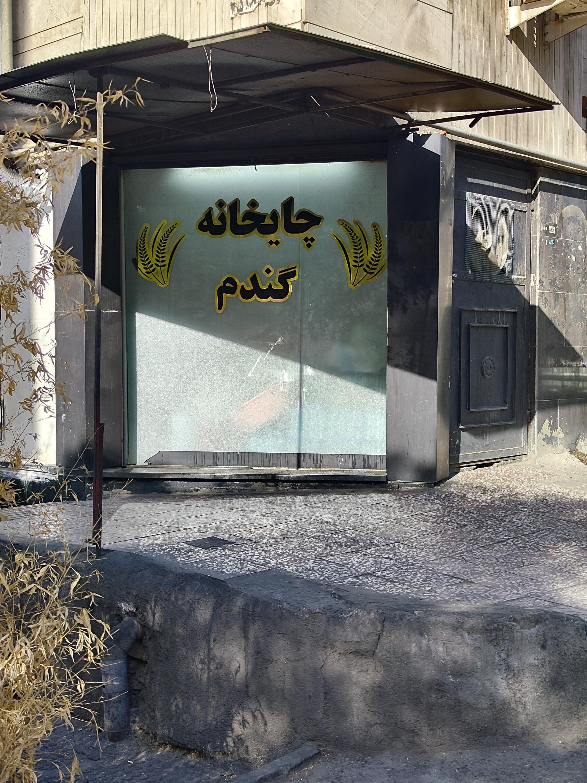 عکس چایخانه گندم