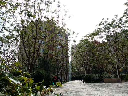 عکس بوستان شکوفه