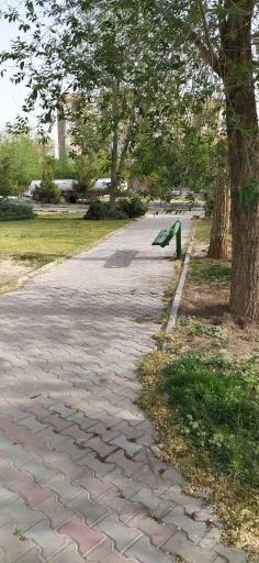 عکس بوستان نسترن