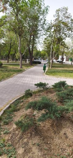 عکس بوستان نسترن