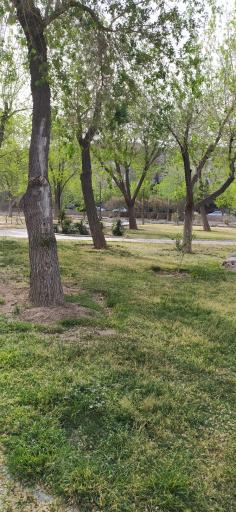 عکس بوستان نسترن