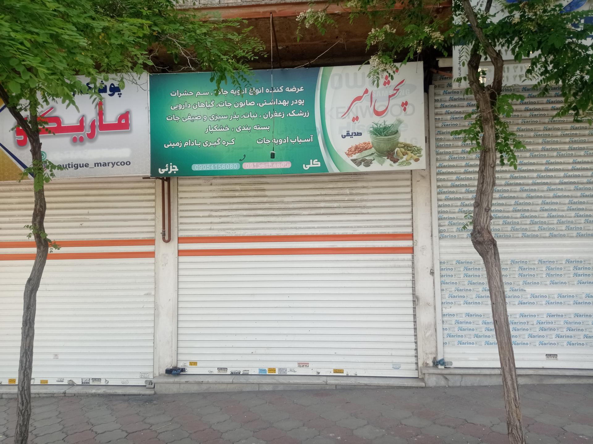 عکس پخش امیر