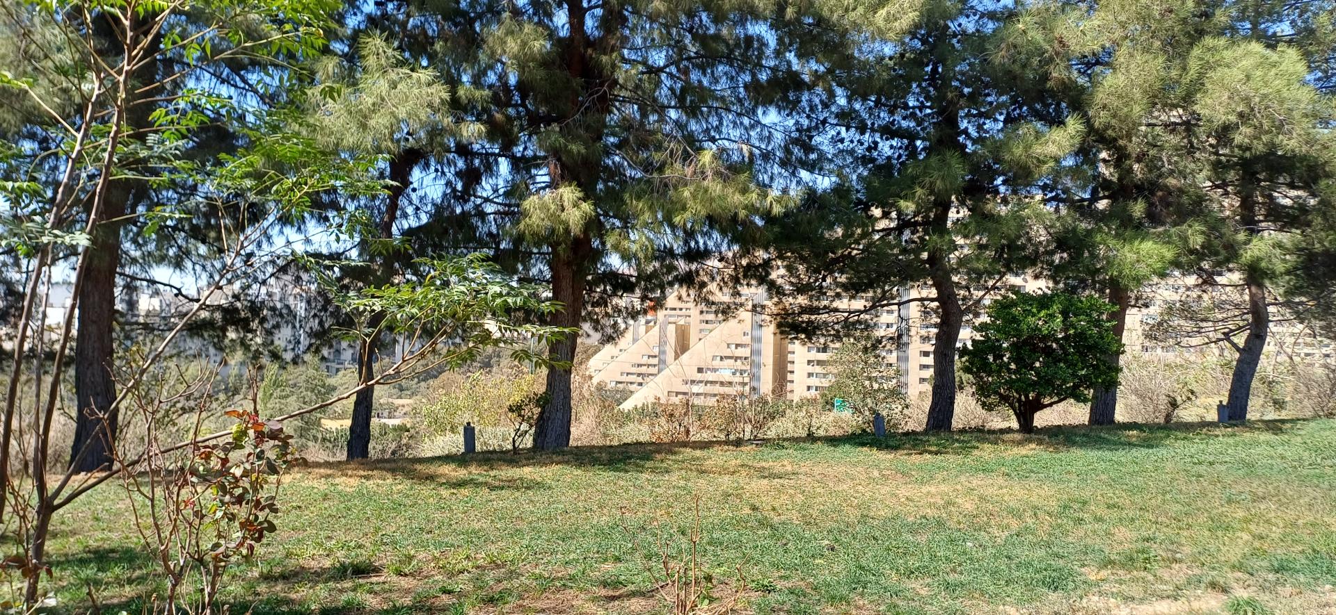 عکس بوستان اهورا