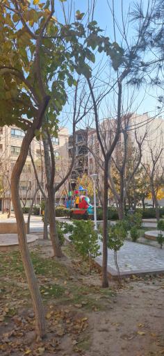عکس بوستان شکوفه
