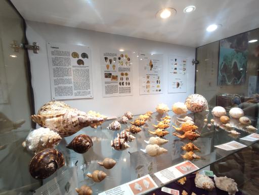 عکس موزه صدف اصفهان