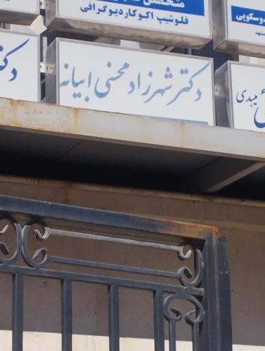 دکتر شهرزاد محسنی ابیانه متخصص قلب و عروق