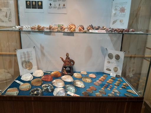 عکس موزه صدف اصفهان