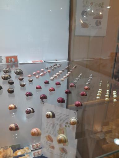 عکس موزه صدف اصفهان