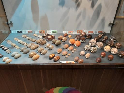 عکس موزه صدف اصفهان