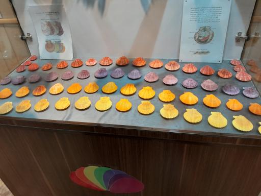 عکس موزه صدف اصفهان