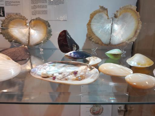 عکس موزه صدف اصفهان