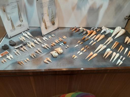 عکس موزه صدف اصفهان