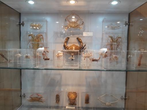 عکس موزه صدف اصفهان