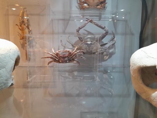 عکس موزه صدف اصفهان