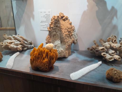 عکس موزه صدف اصفهان