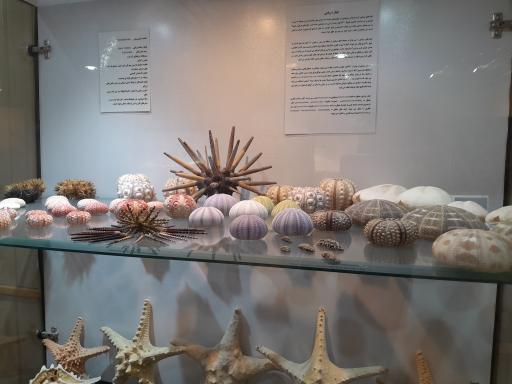 عکس موزه صدف اصفهان