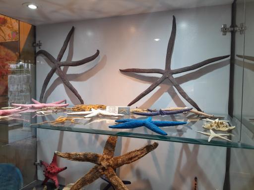 عکس موزه صدف اصفهان