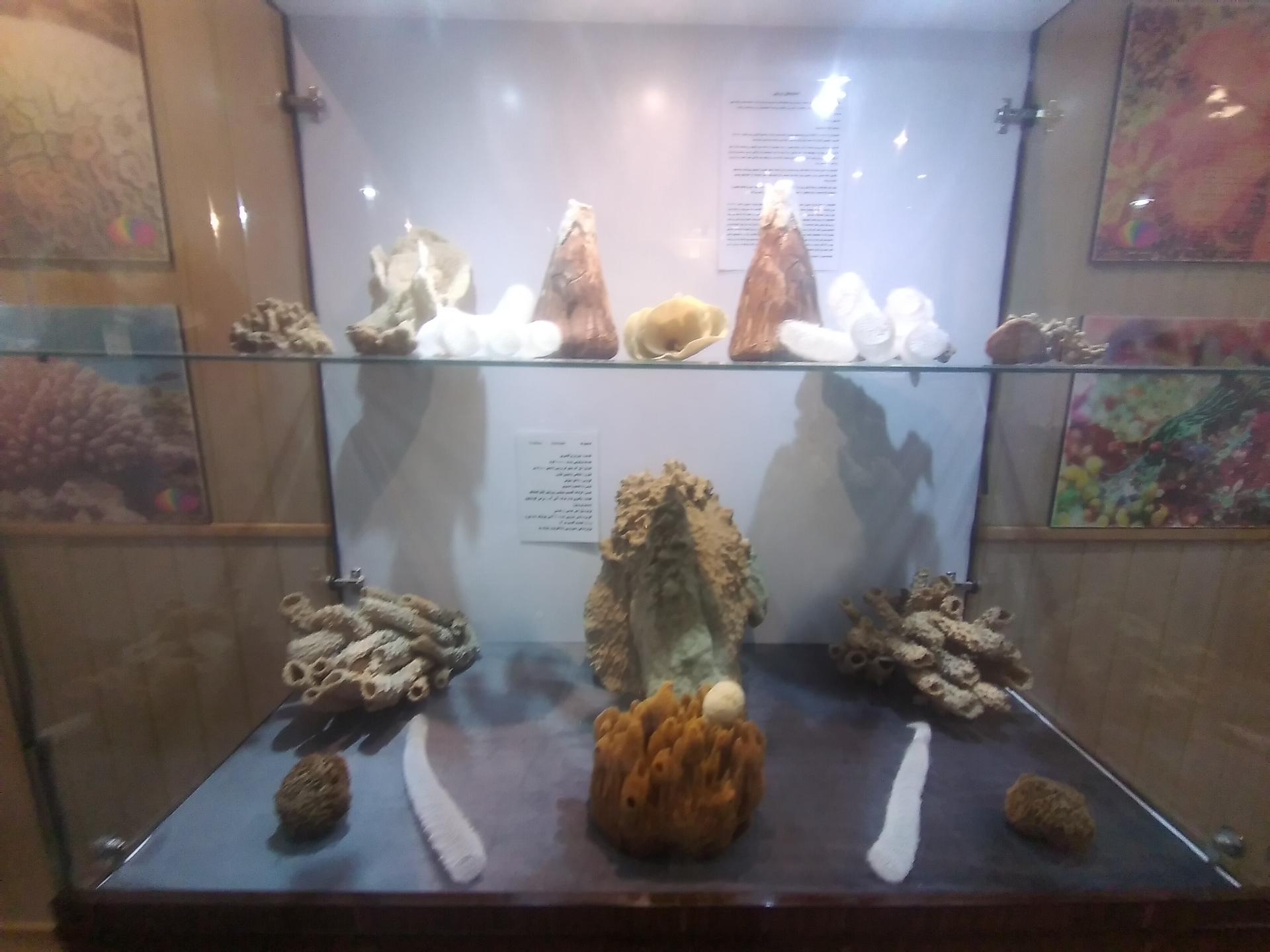 عکس موزه صدف اصفهان