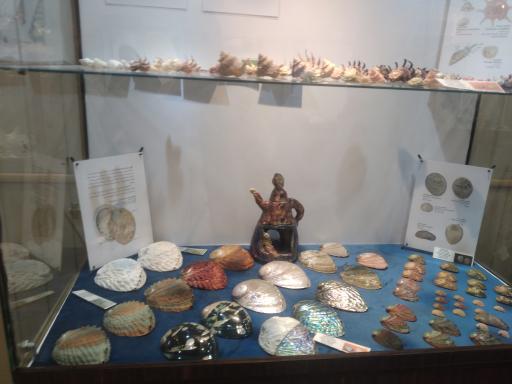 عکس موزه صدف اصفهان