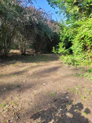 عکس پارک بانوان ملت