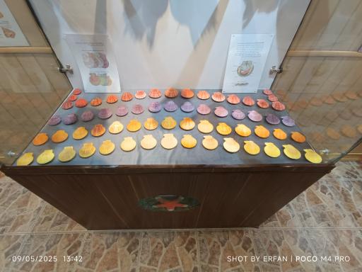 عکس موزه صدف اصفهان