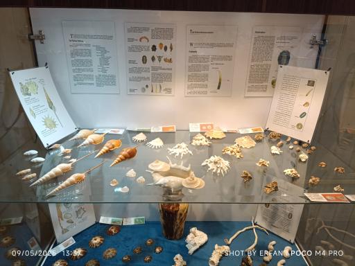 عکس موزه صدف اصفهان