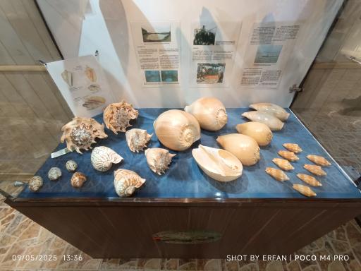 عکس موزه صدف اصفهان